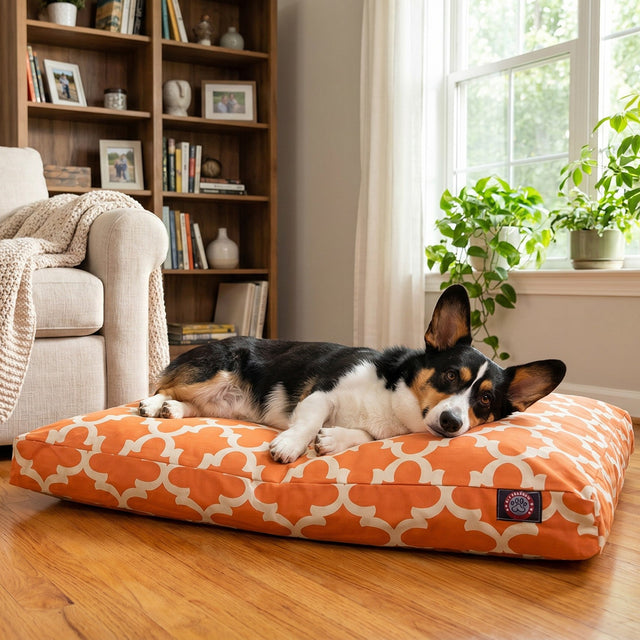 Corgi resting on the orange trellis pet bed in a living room