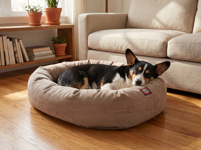 Corgi curled up asleep in the Cloud Nine calming bed in a cozy living room