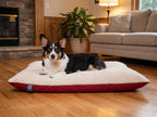 Corgi resting on the Ember sherpa bed by a fireplace