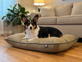 Corgi resting on the khaki Homestead pillow bed in a warm living room
