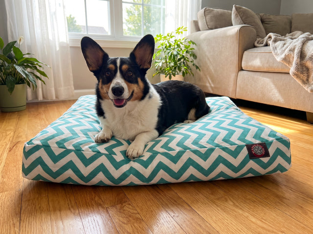 Seabreeze Lounger Outdoor Bed for Large Pets in the living room