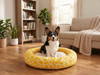 Corgi sitting in the Sunny Bagel bed in a bright living room