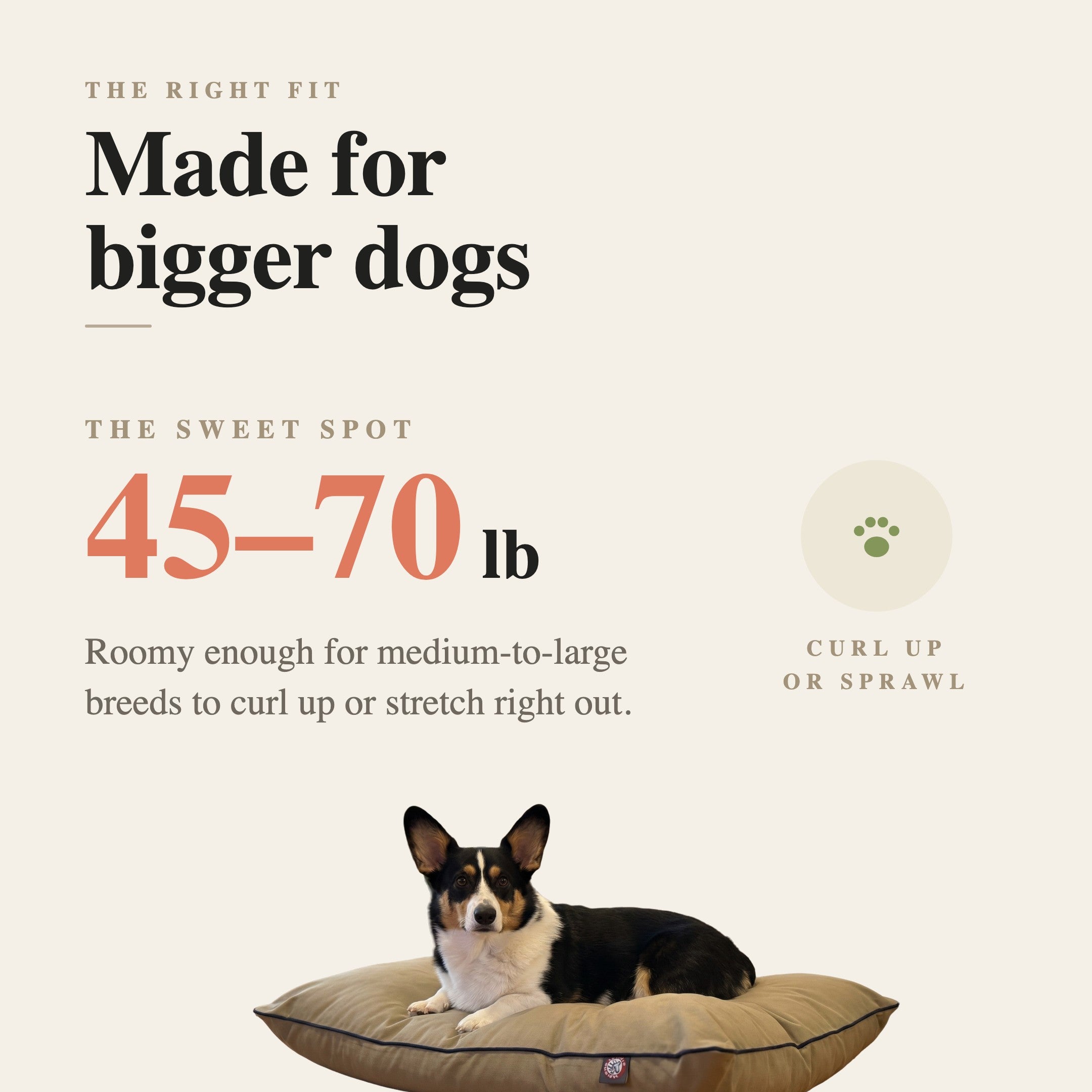 Made for bigger dogs — roomy for medium-to-large breeds to curl up or sprawl