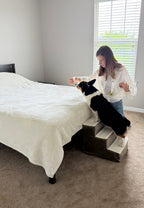 Corgi using the pet stairs to climb onto the bed
