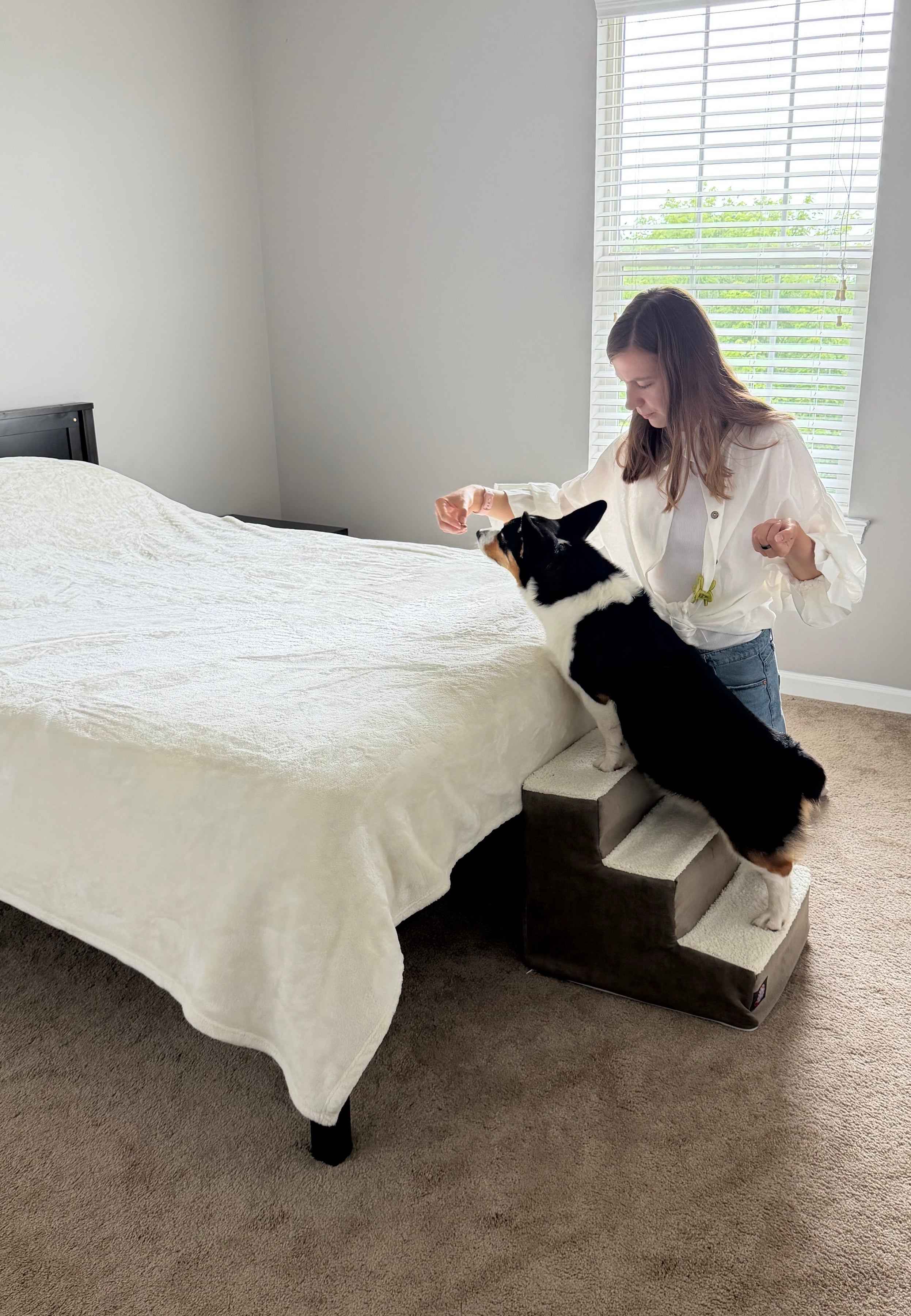 Corgi using the pet stairs to climb onto the bed