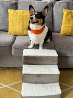 Corgi on the sofa above the pet stairs