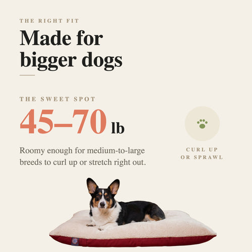 Made for bigger dogs — the sweet spot is about 45 to 70 lb